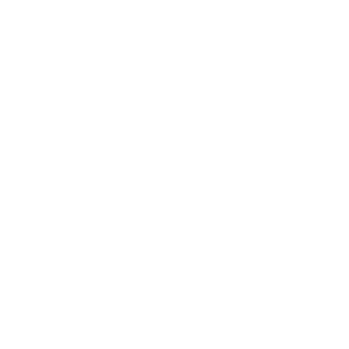 Stepora Academy